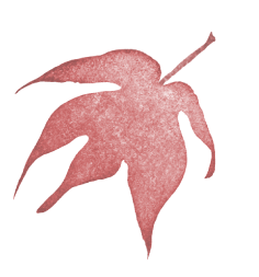 デコレーション